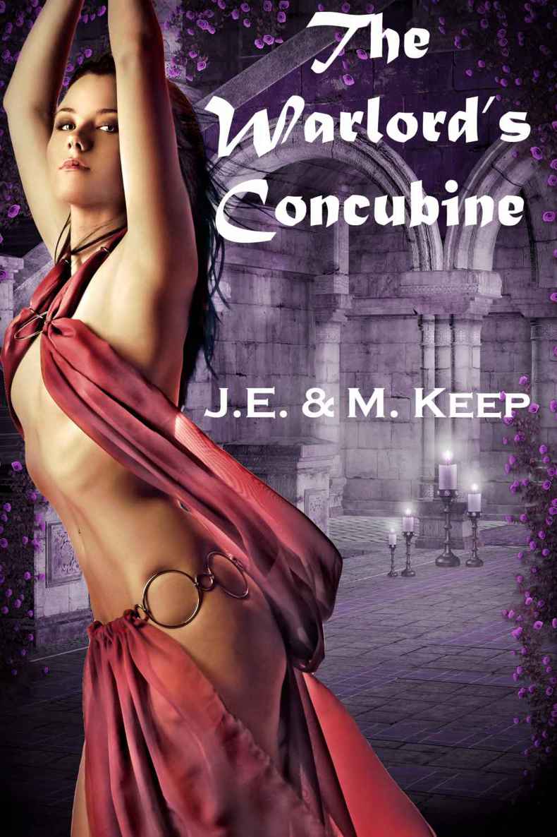 The Warlord's Concubine by Keep, J.E.