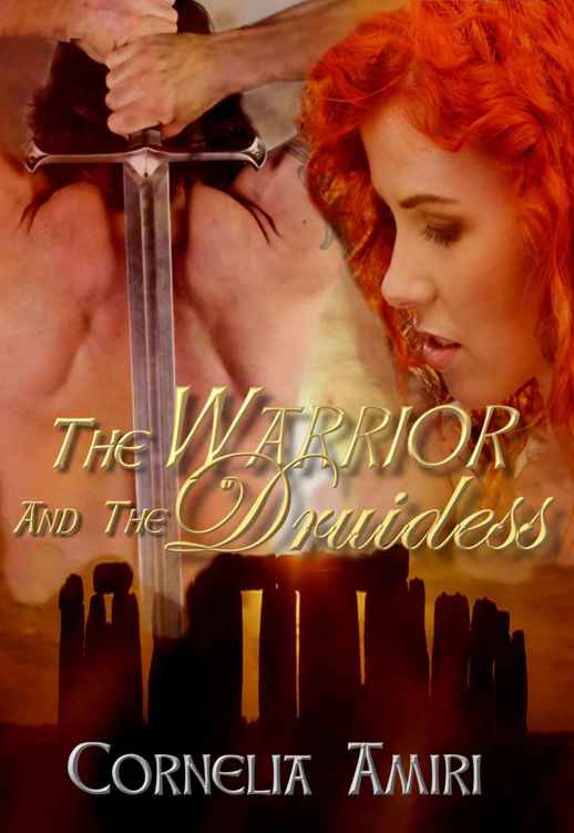 The Warrior and the Druidess (2015) by Cornelia Amiri