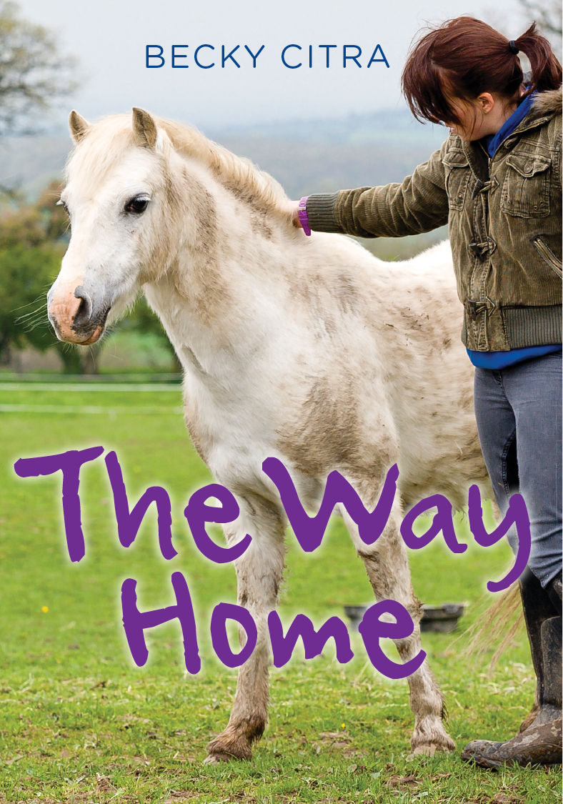 The Way Home (2013)