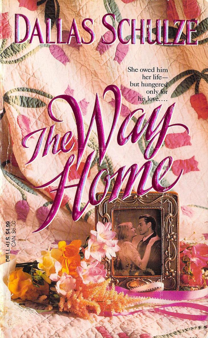 The Way Home by Dallas Schulze