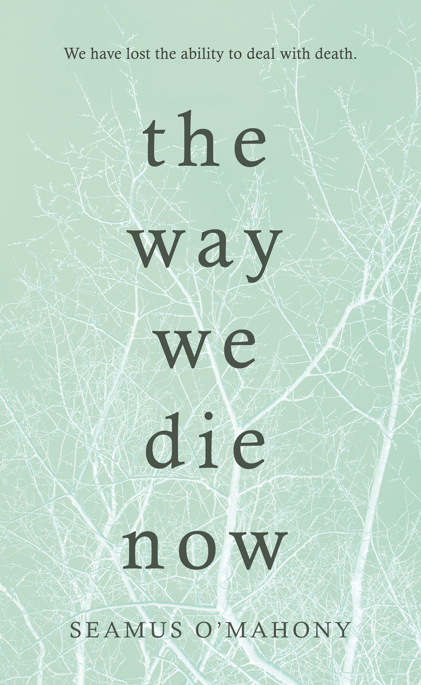 The Way We Die Now by Seamus O'Mahony