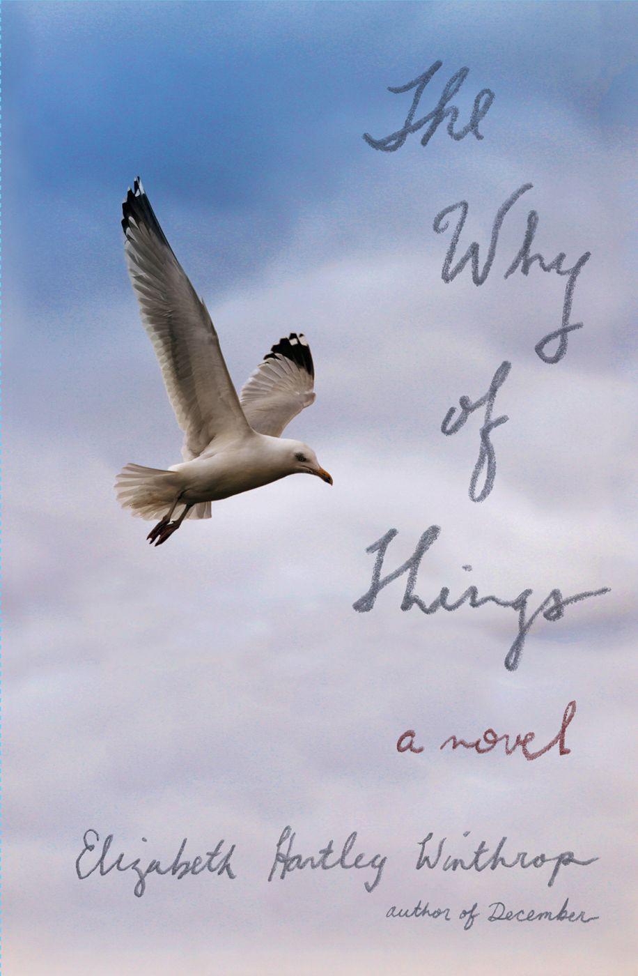 The Why of Things: A Novel by Elizabeth Hartley Winthrop