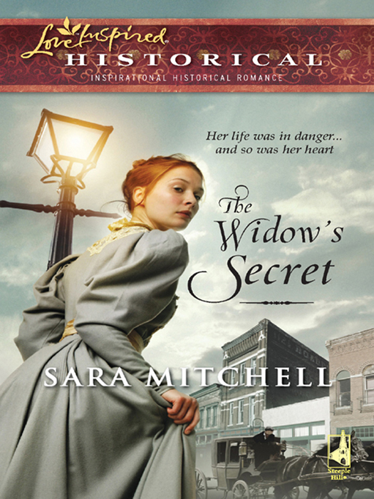 The Widow's Secret by Sara Mitchell