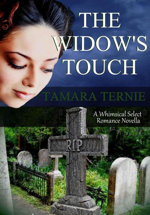 The Widow's Touch (A Whimsical Select Romance Novella) by Ternie, Tamara