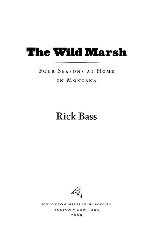 The Wild Marsh by Rick Bass