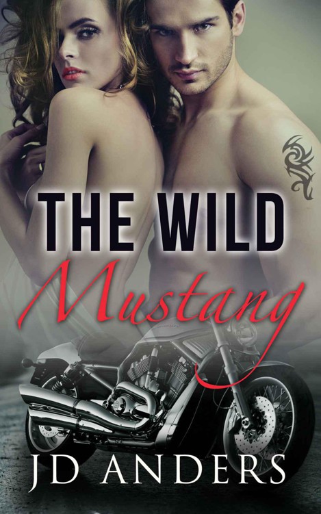 The Wild Mustang (Dale Jackson Series Book 1) by Anders, JD