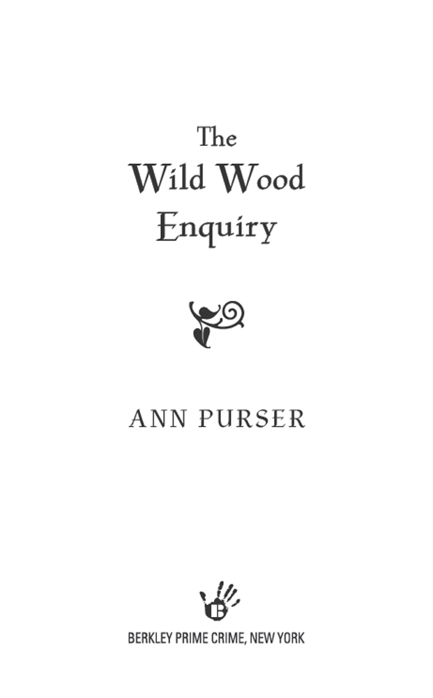 The Wild Wood Enquiry (2012) by Ann Purser