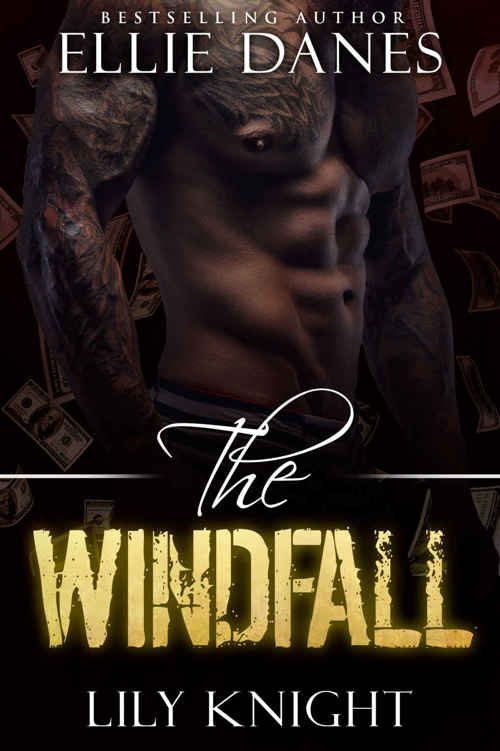 The Windfall by Ellie Danes