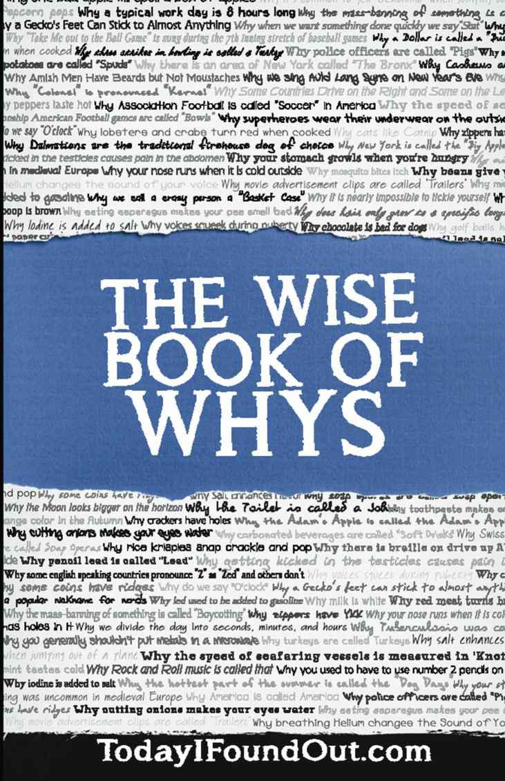 The Wise Book of Whys by Daven Hiskey