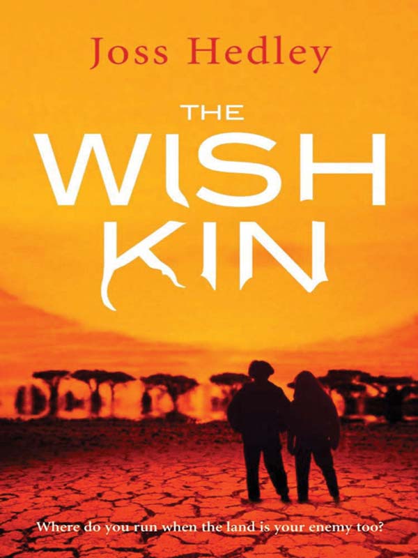 The Wish Kin (2008) by Joss Hedley