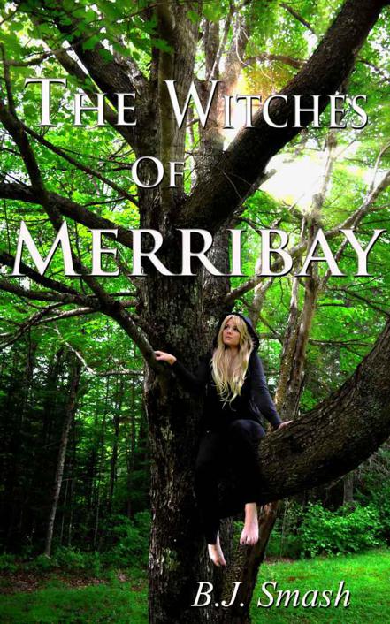 The Witches of Merribay (The Seaforth Chronicles) by B.J. Smash