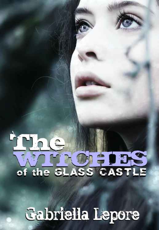 The Witches of the Glass Castle (The Witches of the Glass Castle Series Book 1)