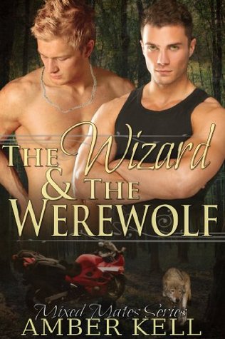 The Wizard and The Werewolf (2000) by Amber Kell