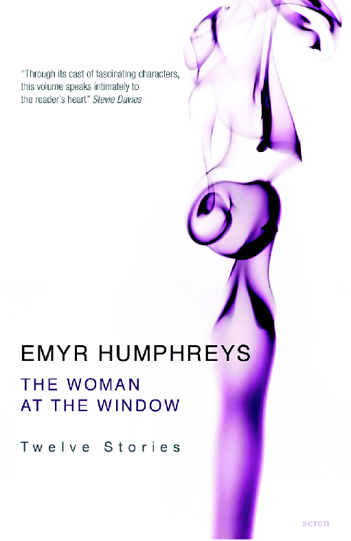 The Woman at the Window (2013) by Emyr Humphreys