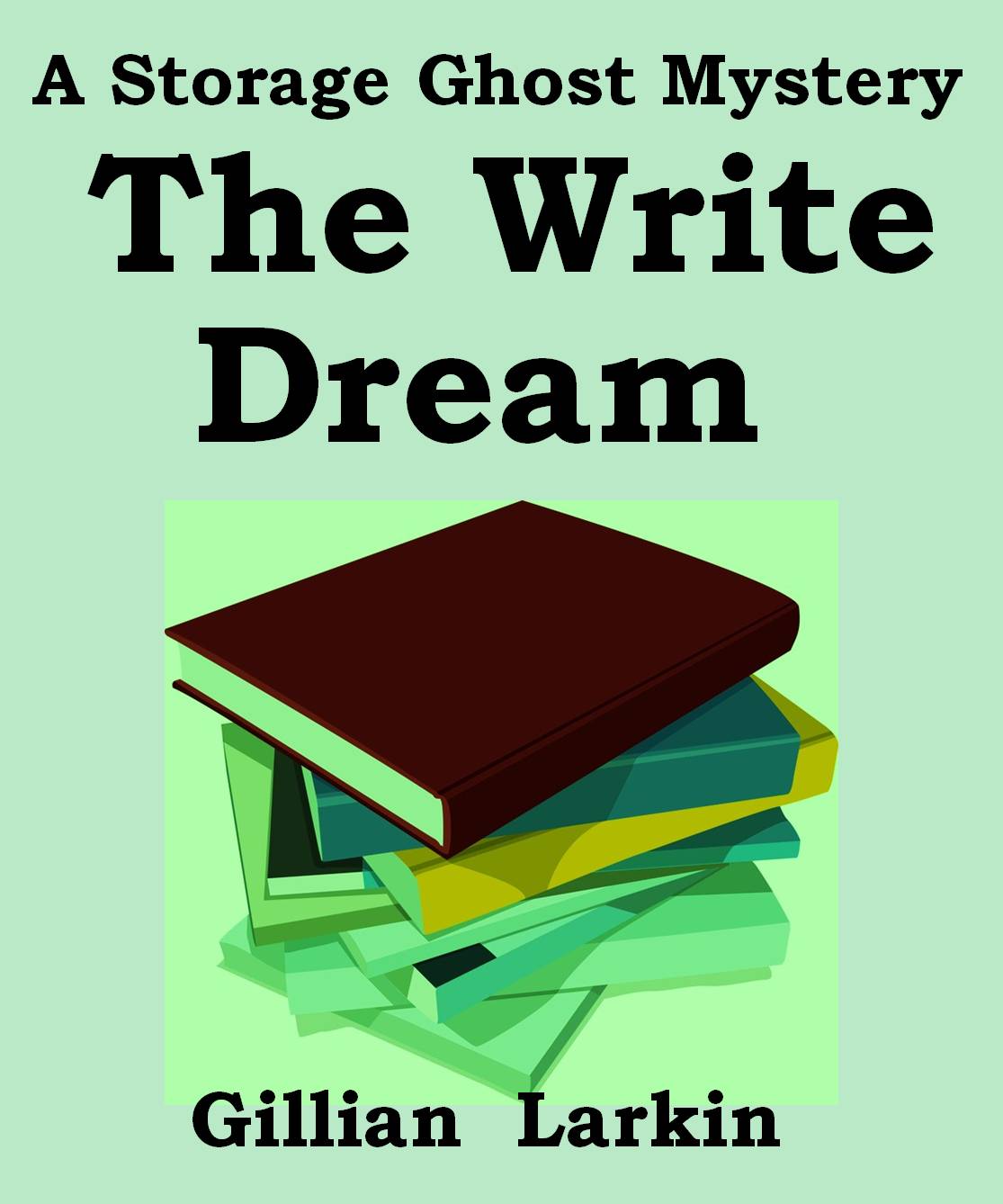 The Write Dream (Storage Ghosts) by Gillian Larkin