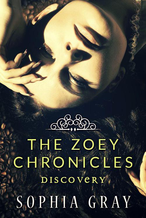 The Zoey Chronicles: Discovery (Vol. 2) by Gray, Sophia