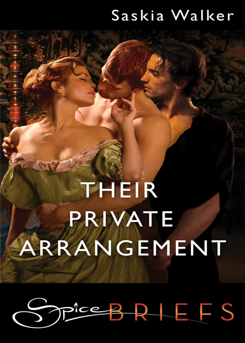 Their Private Arrangement (2011) by Saskia Walker