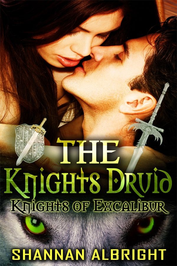 TheKnightsDruid (2012) by Shannan Albright