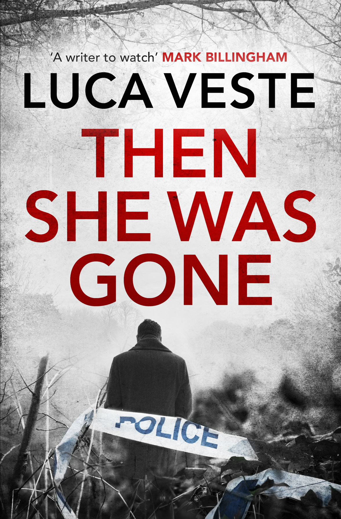 Then She Was Gone by Luca Veste