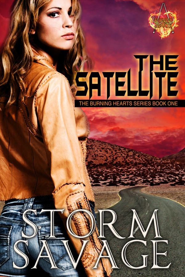 TheSatellite (2013) by Storm Savage