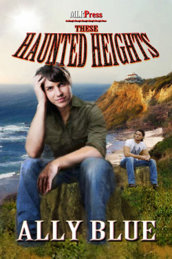 These Haunted Heights (2011) by Ally Blue