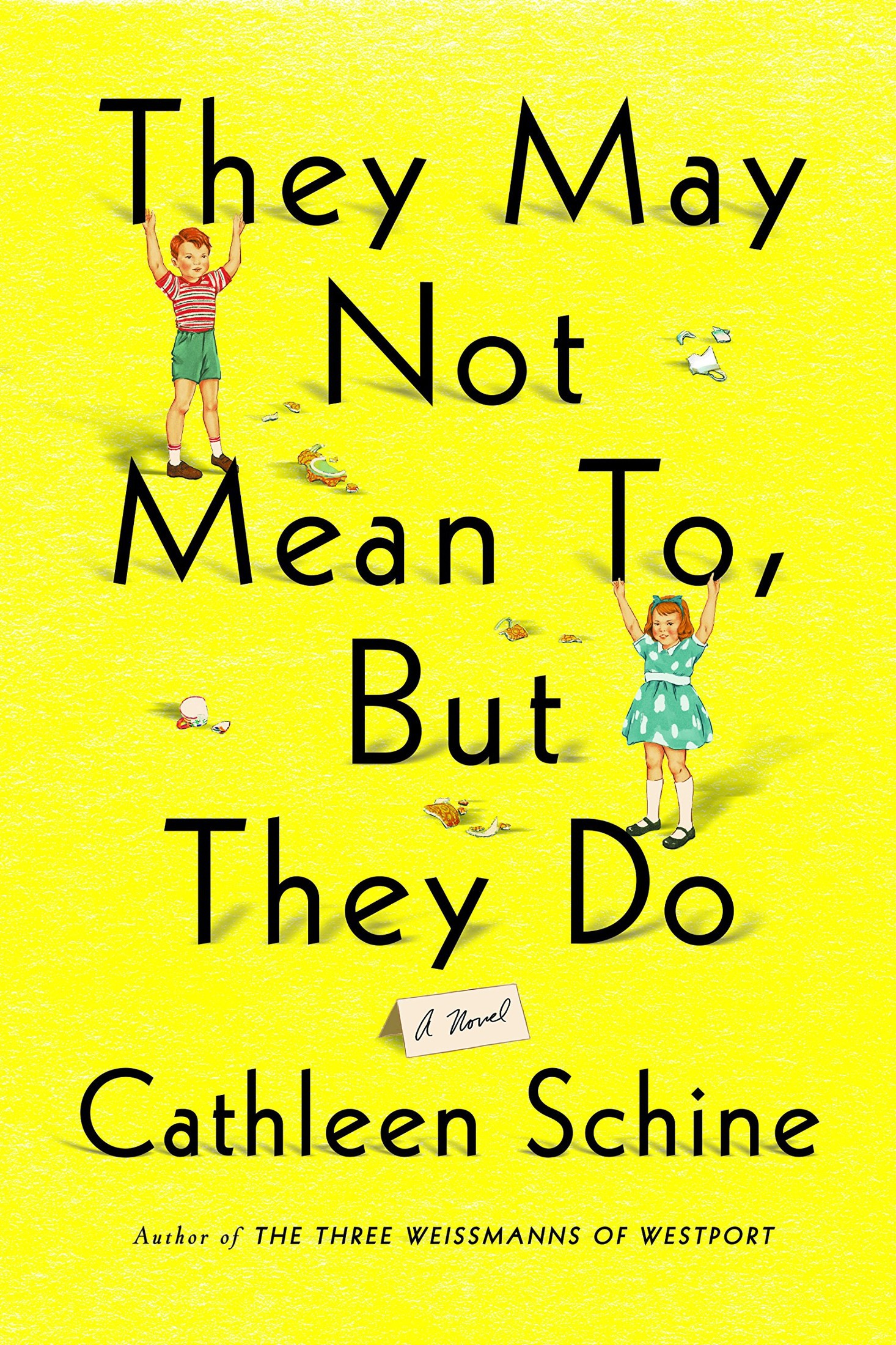 They May Not Mean To, but They Do: A Novel by Cathleen Schine