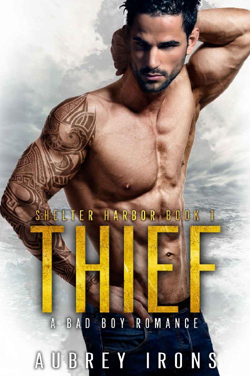 Thief: A Bad Boy Romance by Aubrey Irons