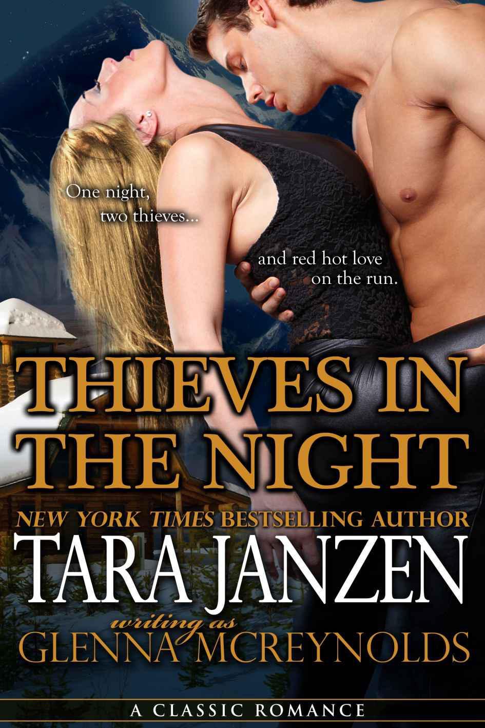 Thieves In The Night by Tara Janzen