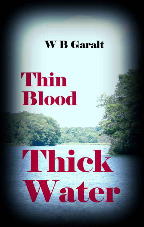 Thin Blood Thick Water (Clueless Resolutions Book 2)