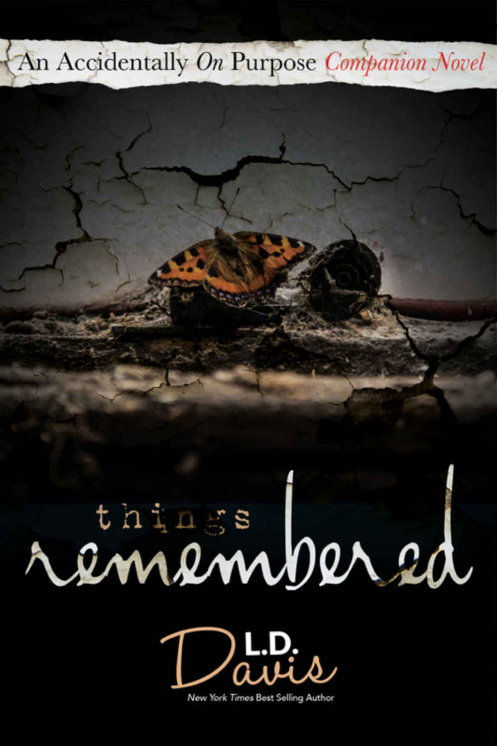 Things Remembered (Accidentally On Purpose Companion Novel #3)