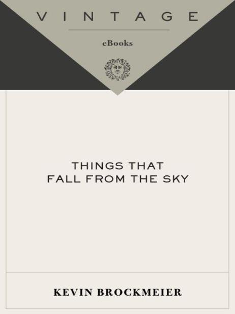 Things that Fall from the Sky (Vintage Contemporaries)