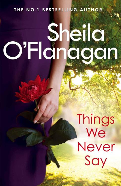 Things We Never Say by Sheila O'Flanagan