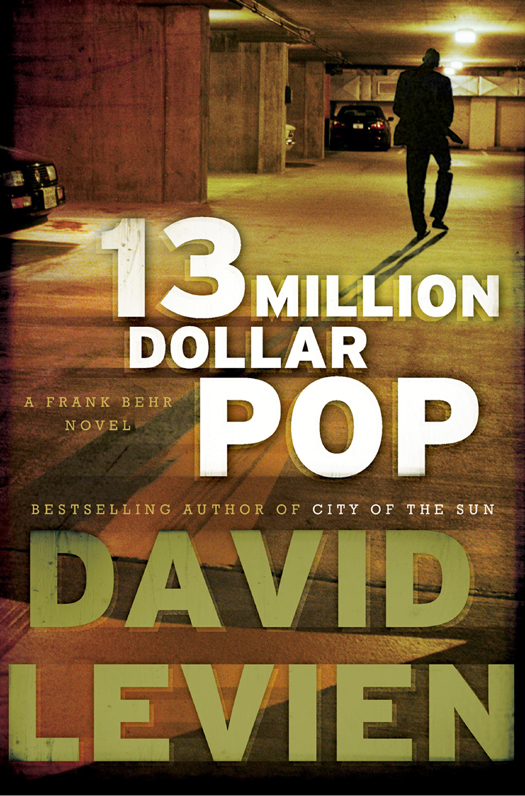 Thirteen Million Dollar Pop by David Levien