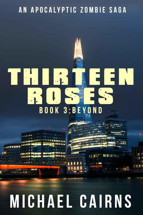 Thirteen Roses Book Three: Beyond: A Paranormal Zombie Saga by Cairns, Michael