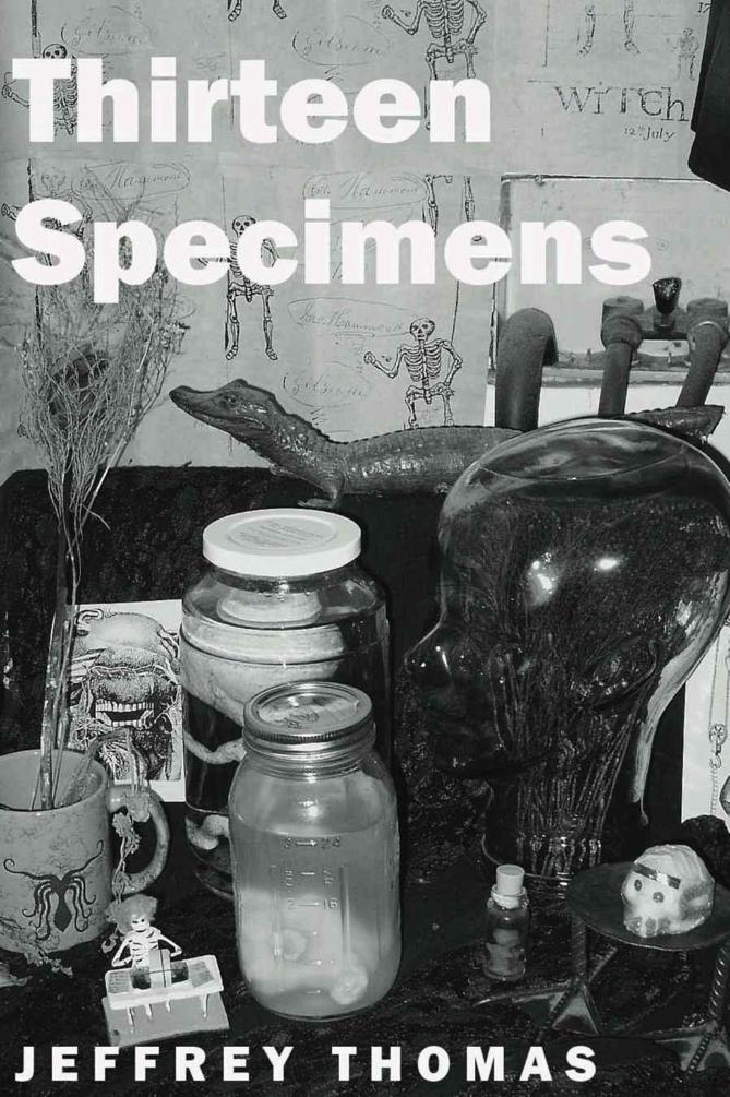 Thirteen Specimens by Thomas, Jeffrey