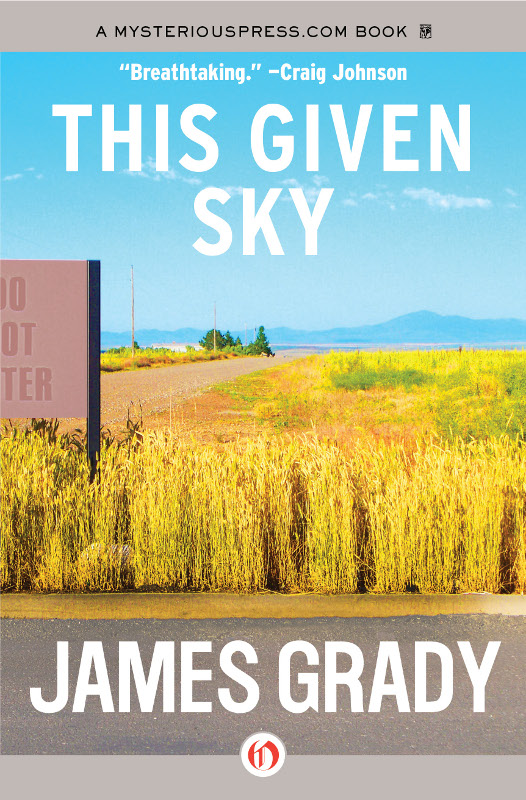 This Given Sky (2011) by James Grady