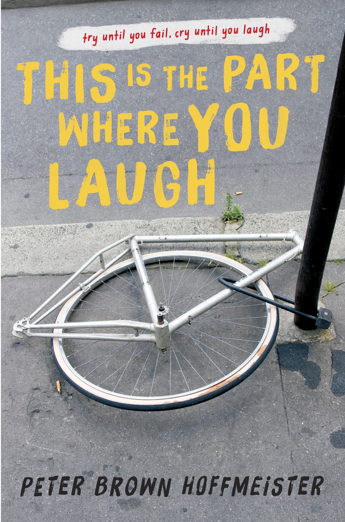 This is the Part Where You Laugh (2016) by Peter Brown Hoffmeister