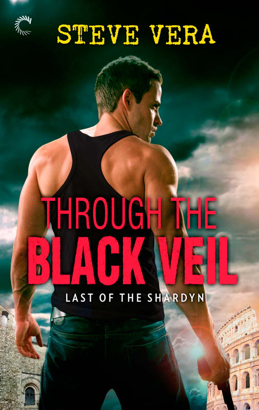 Through the Black Veil (2013) by Steve Vera