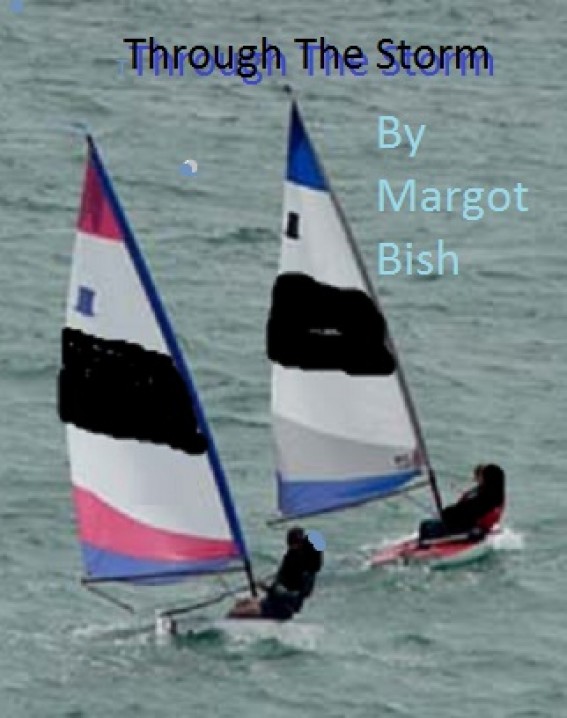 Through The Storm by Margot Bish