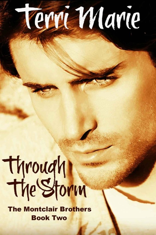 Through the Storm (The Montclair Brothers) by Terri  Marie