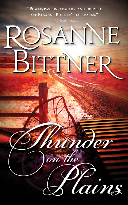 Thunder on the Plains (2012) by Rosanne Bittner