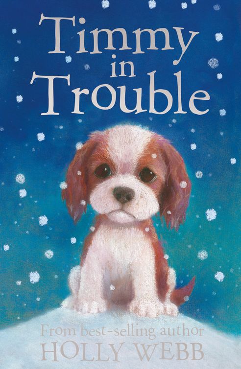 Timmy in Trouble (2012) by Holly Webb