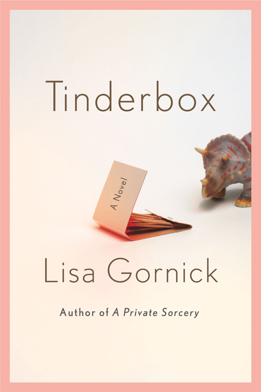 Tinderbox by Lisa Gornick