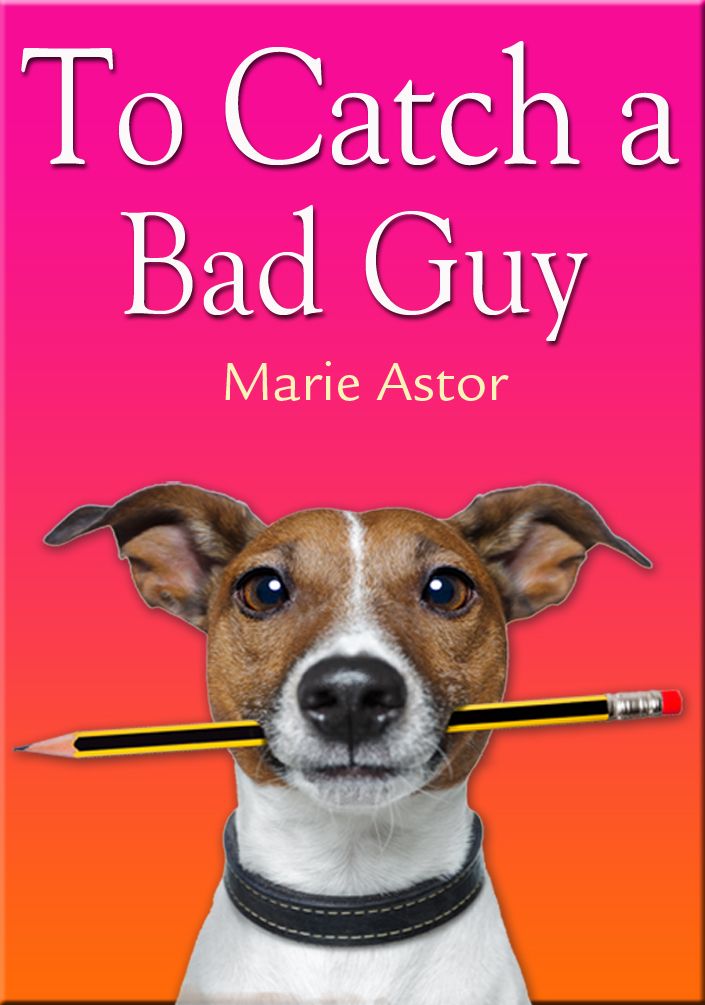 To Catch a Bad Guy by Astor, Marie