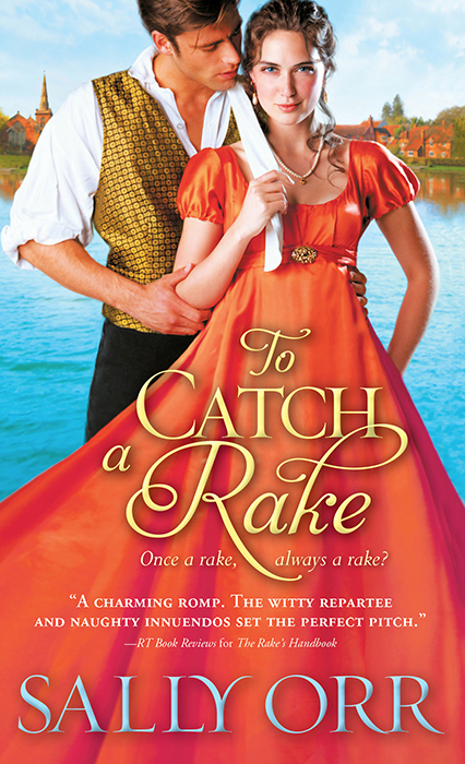 To Catch a Rake by Sally Orr