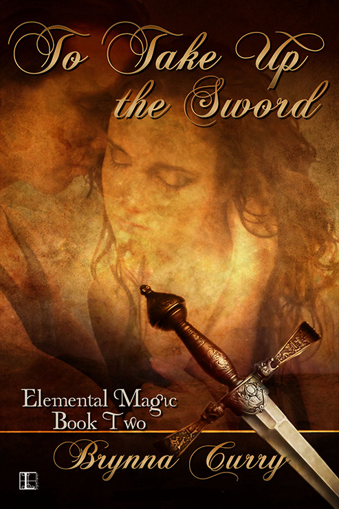 To Take Up the Sword by Brynna Curry