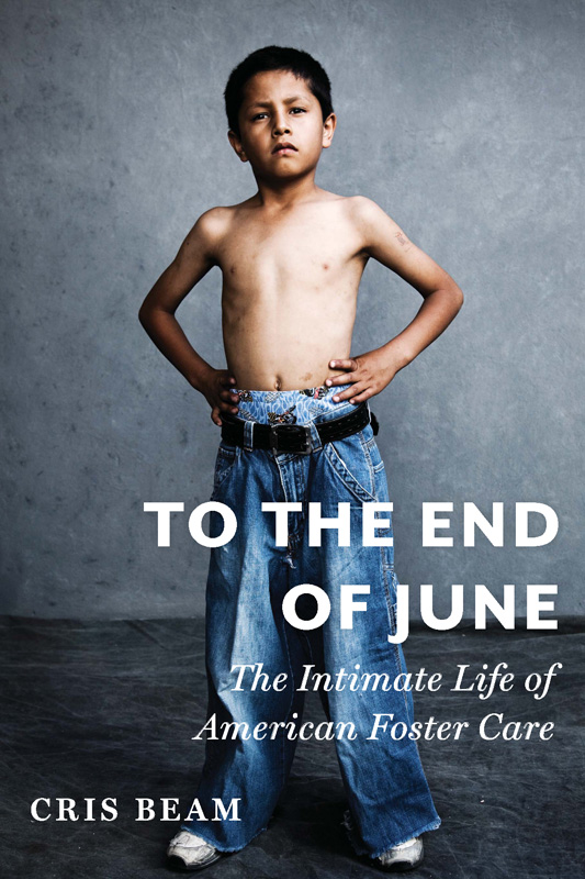 To the End of June : The Intimate Life of American Foster Care (9780547999531)