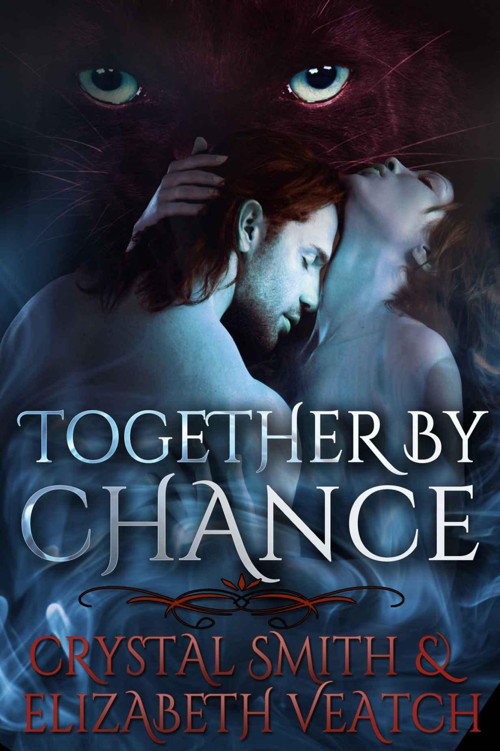 Together By Chance (#1 The Together Series) by Veatch, Elizabeth