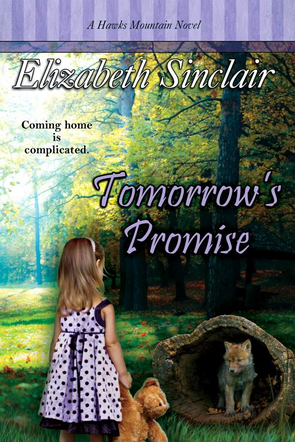 Tomorrow's Promise (The Hawks Mountain Series)