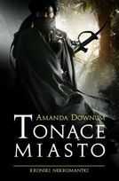 Tonące Miasto (2010)